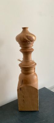Japanse takkenvaas Beuk
